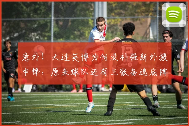 意外！大连英博为何没补强新外援中锋，原来球队还有三张备选底牌