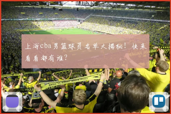 上海cba男篮球员名单大揭秘！快来看看都有谁？