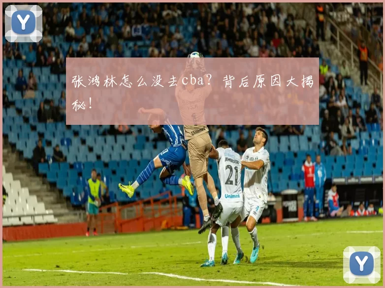 张鸿林怎么没去cba？背后原因大揭秘！