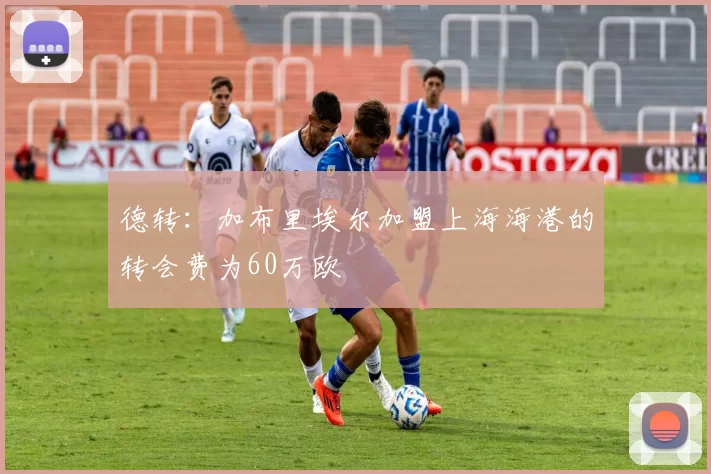 德转：加布里埃尔加盟上海海港的转会费为60万欧