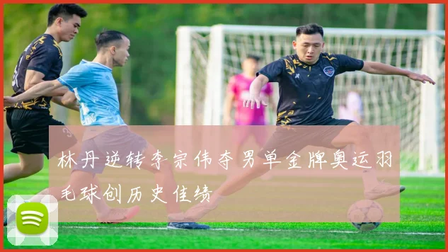 林丹逆转李宗伟夺男单金牌奥运羽毛球创历史佳绩